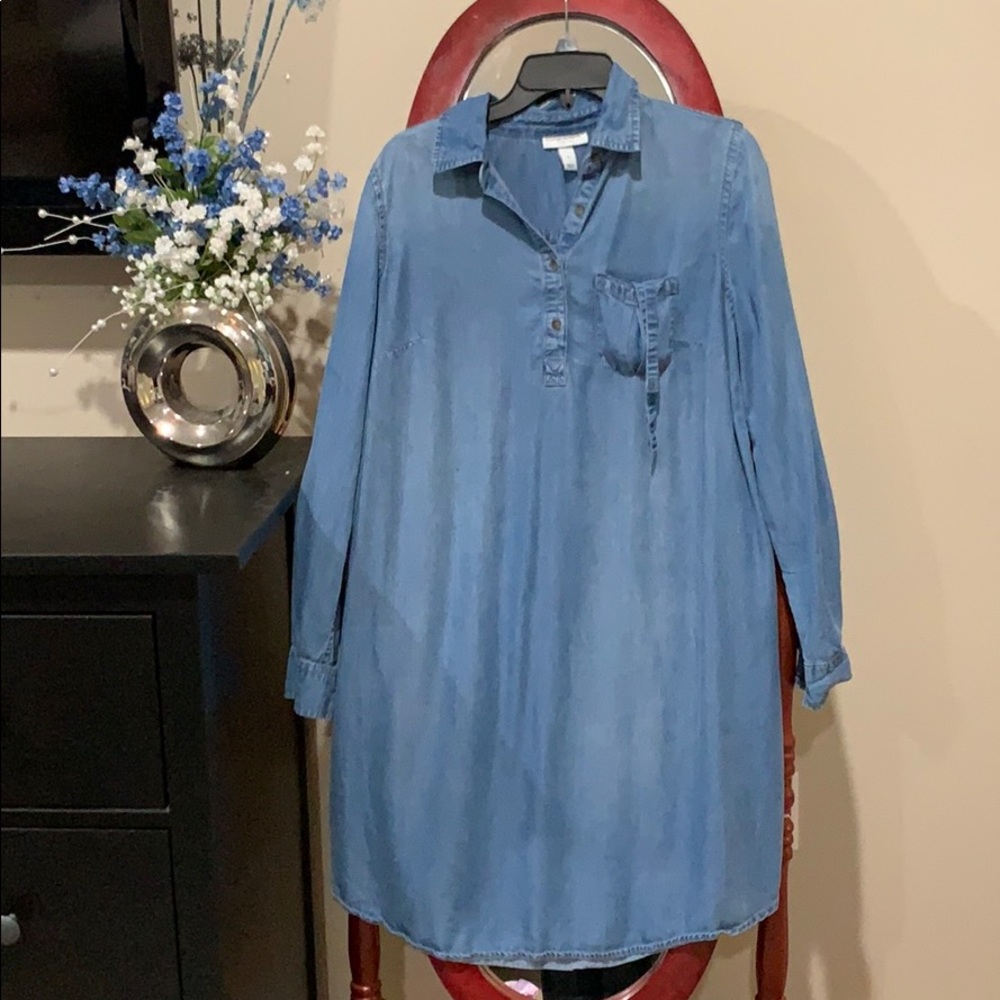Liz Lange Maternity Denim Dress